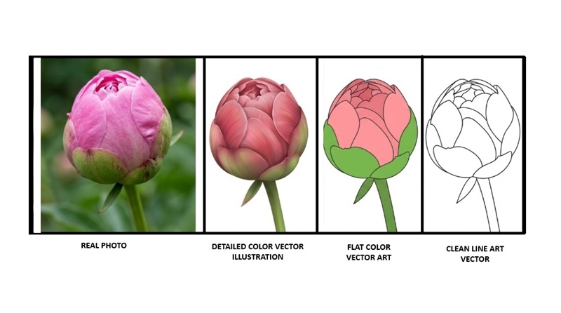 Vectorization illustrations