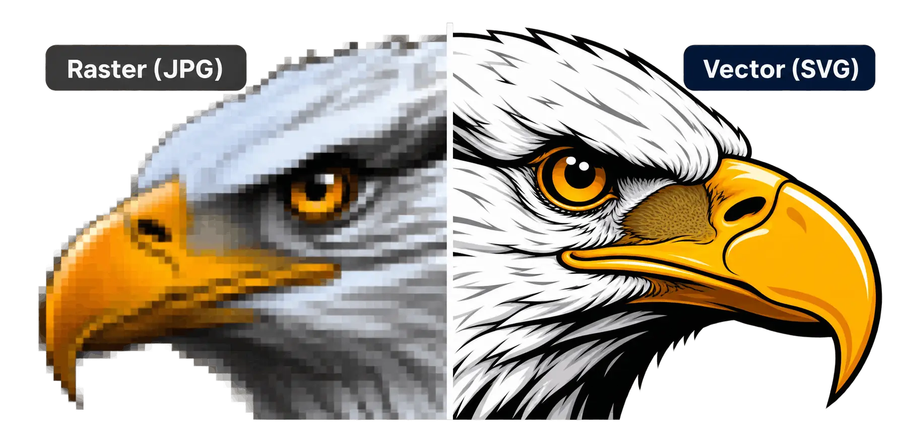 Raster JPG eagle vs custom vector artwork created by manual vectorization