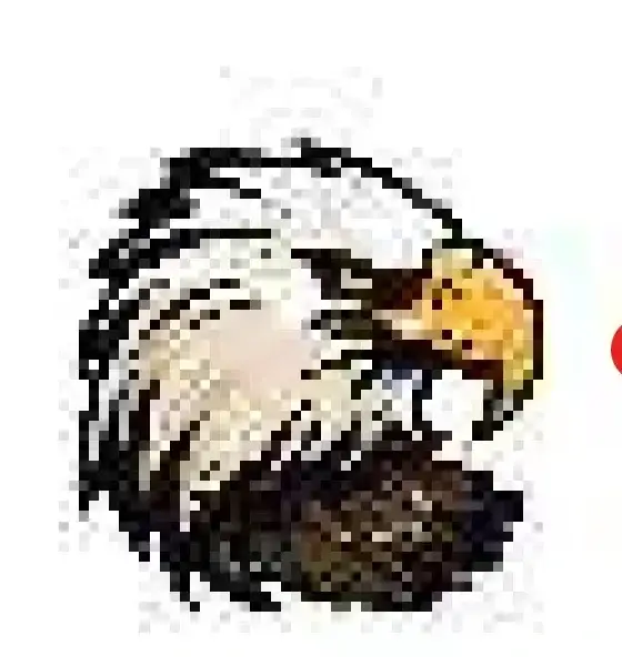 Blurry pixelated eagle logo before vectorization (JPG/PNG)