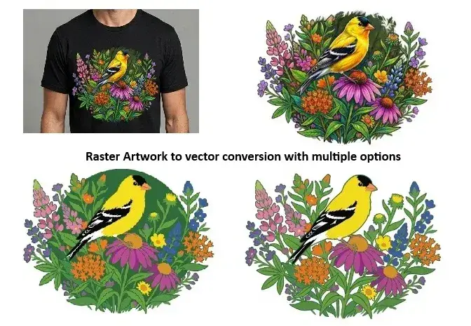 Raster artwork to vector conversion with multiple color options
