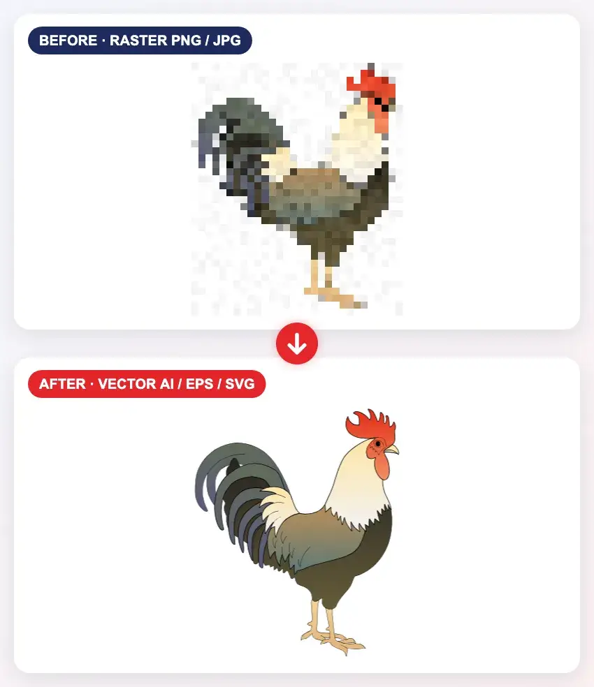 Raster to vector conversion service – pixelated raster rooster image before and clean vector artwork after