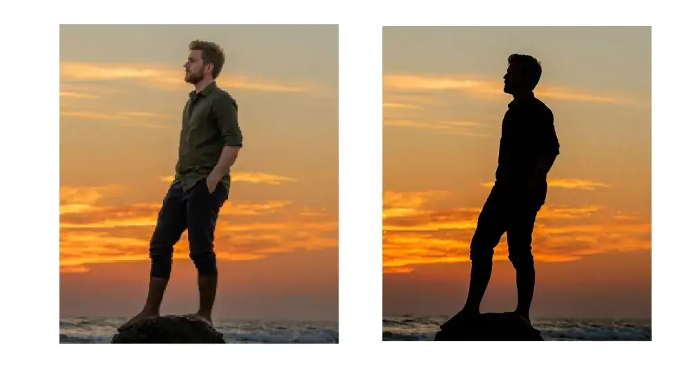 Raster to vector silhouette conversion of a photo