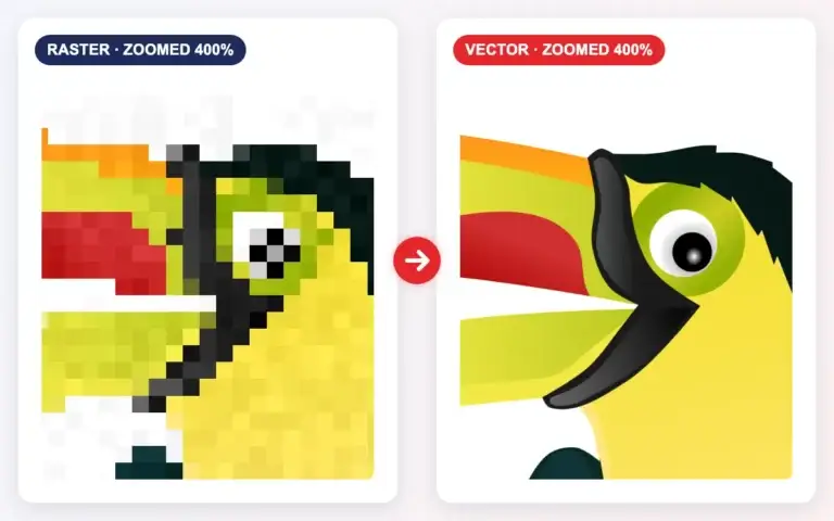 Raster vs vector zoom comparison – jagged raster pixels vs smooth vector paths on a toucan illustration
